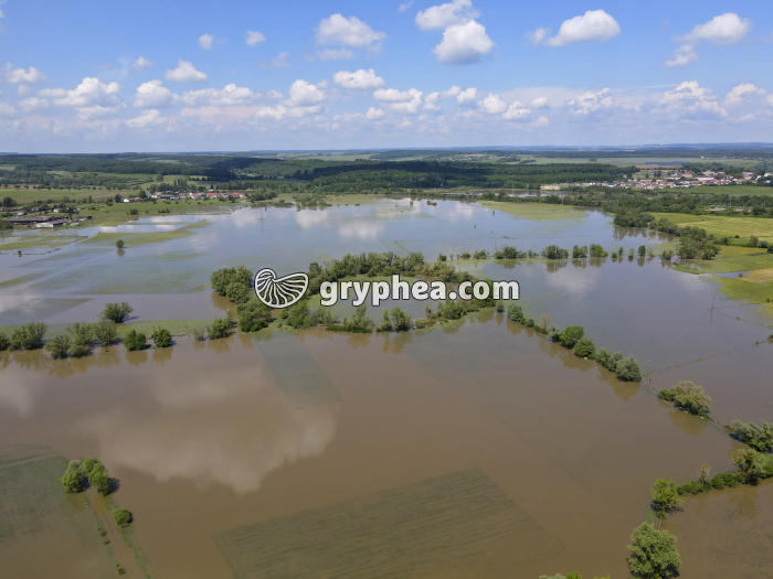 Crue de la Nied (Moselle, 2024) - gryphea.org